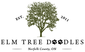 Elm Tree Doodles